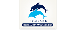 Tumlare Corporation.png